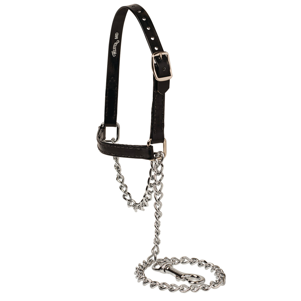 Brahma Webb® Clear Coat Sheep and Goat Halter