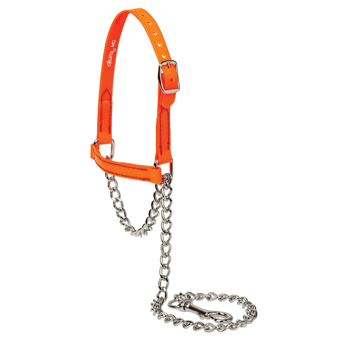 Brahma Webb® Clear Coat Sheep and Goat Halter