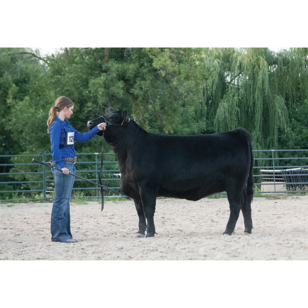 Black Magic Show Halter