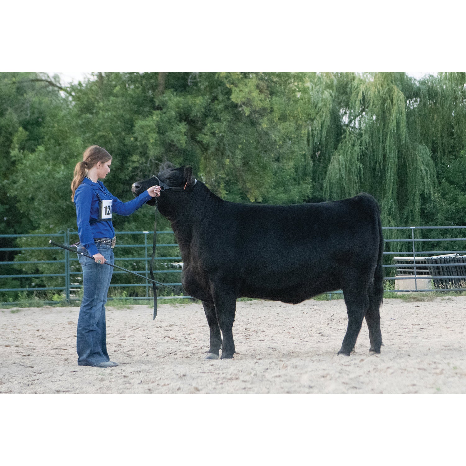 Black Magic Show Halter