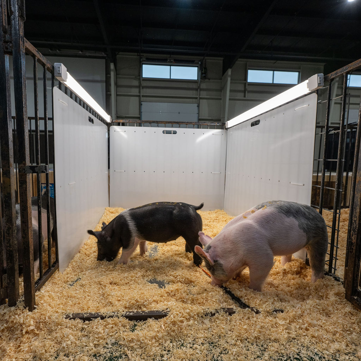 Pen Partition, 36"x 48"