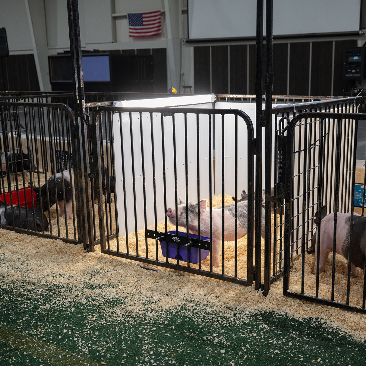 Pen Partition, 36"x 48"