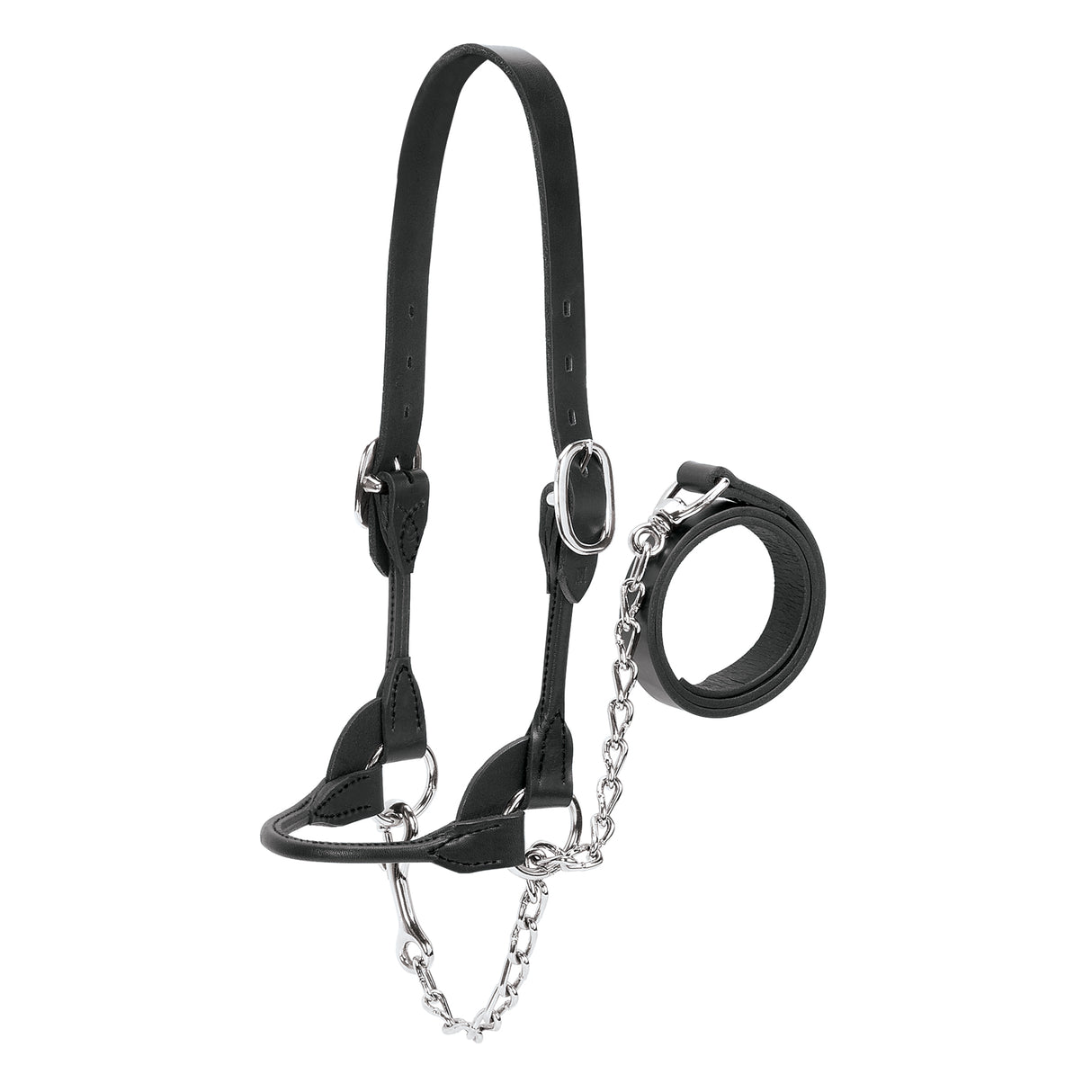 Dairy/Beef Rounded Show Halter