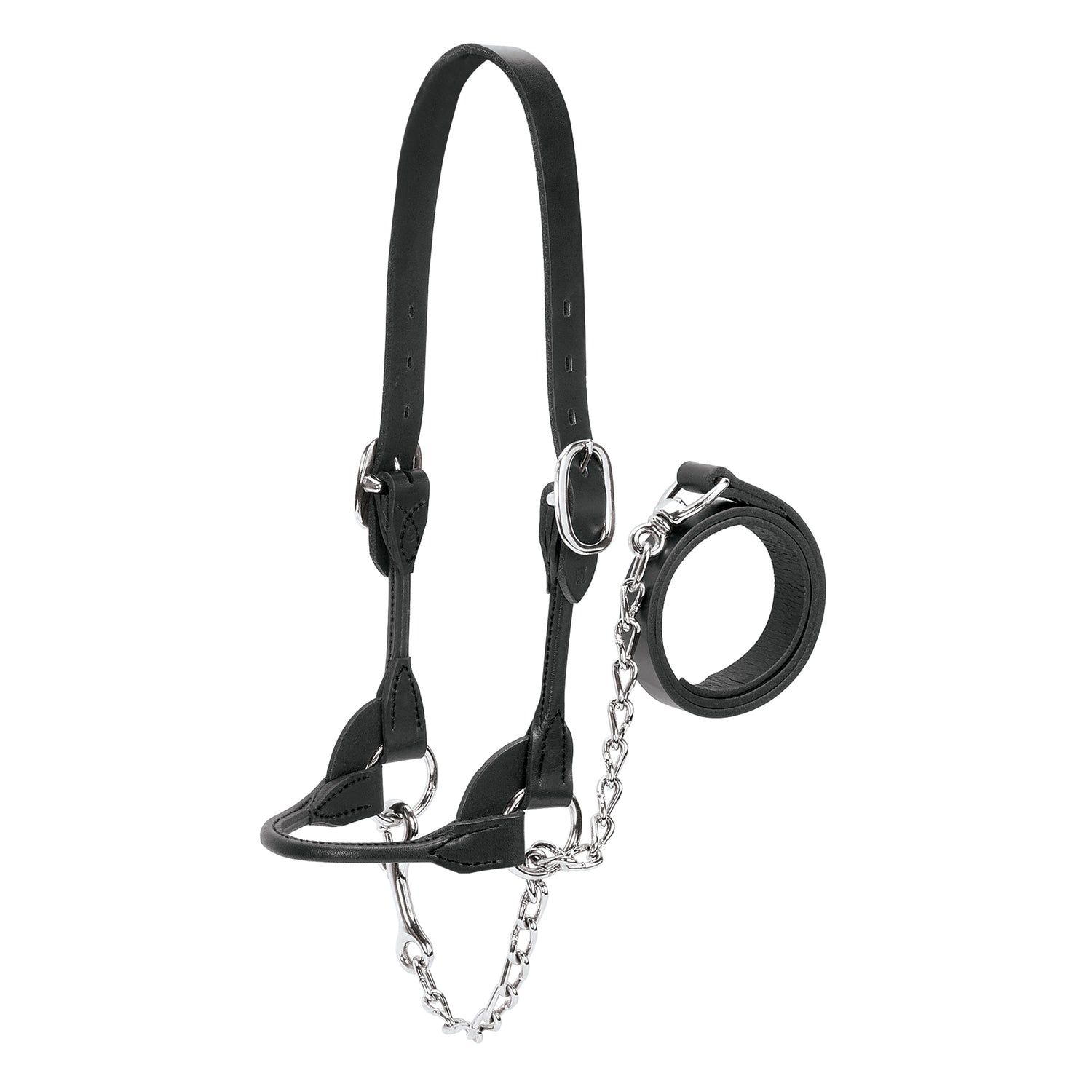 Dairy/Beef Rounded Show Halter