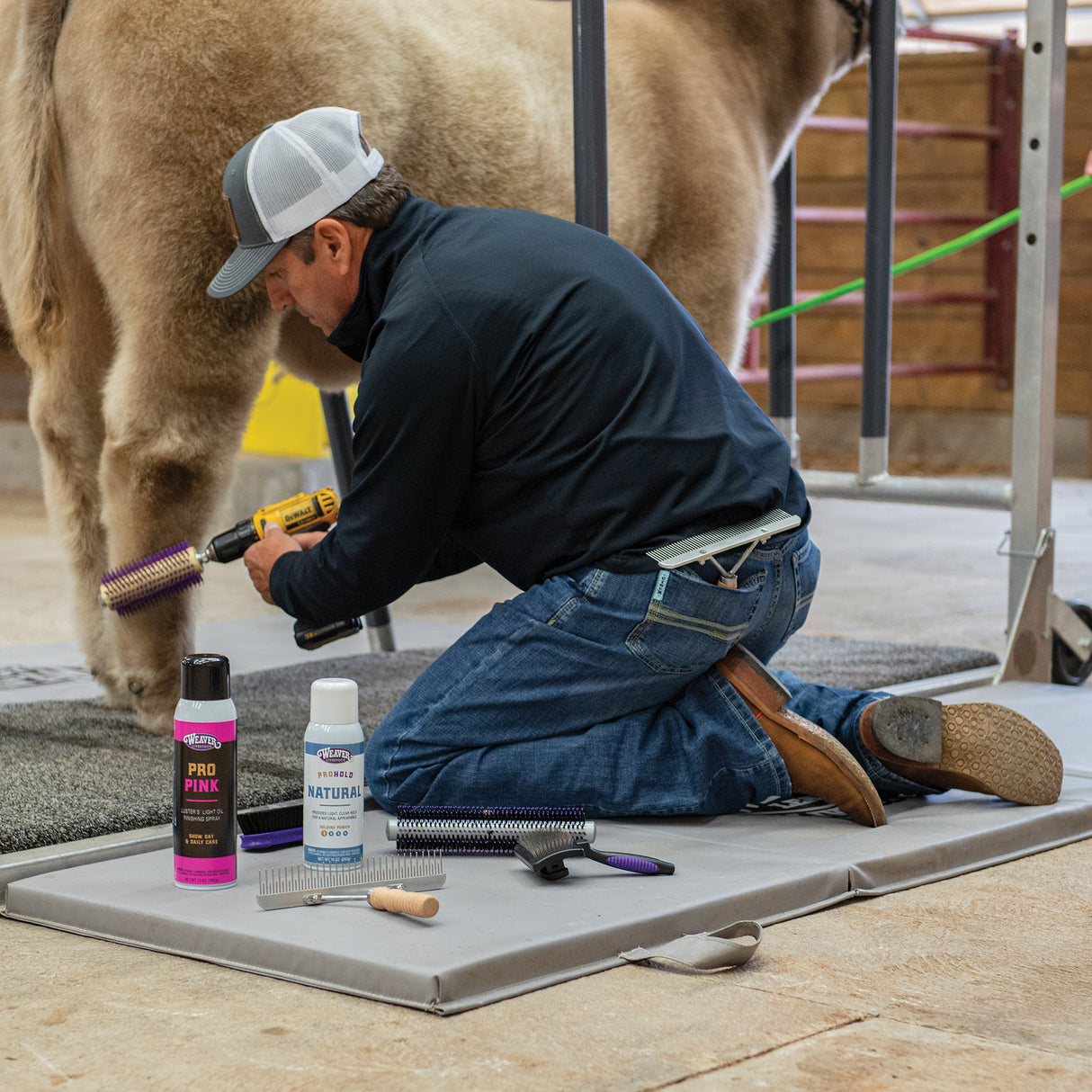 ProPink by Luster's, 14 oz.