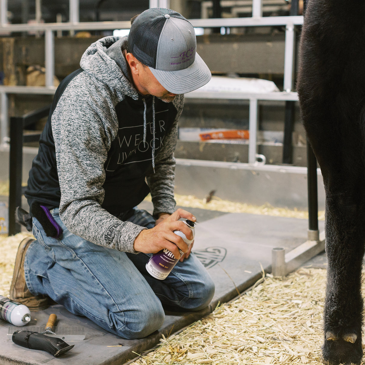 ProPowder Pure White