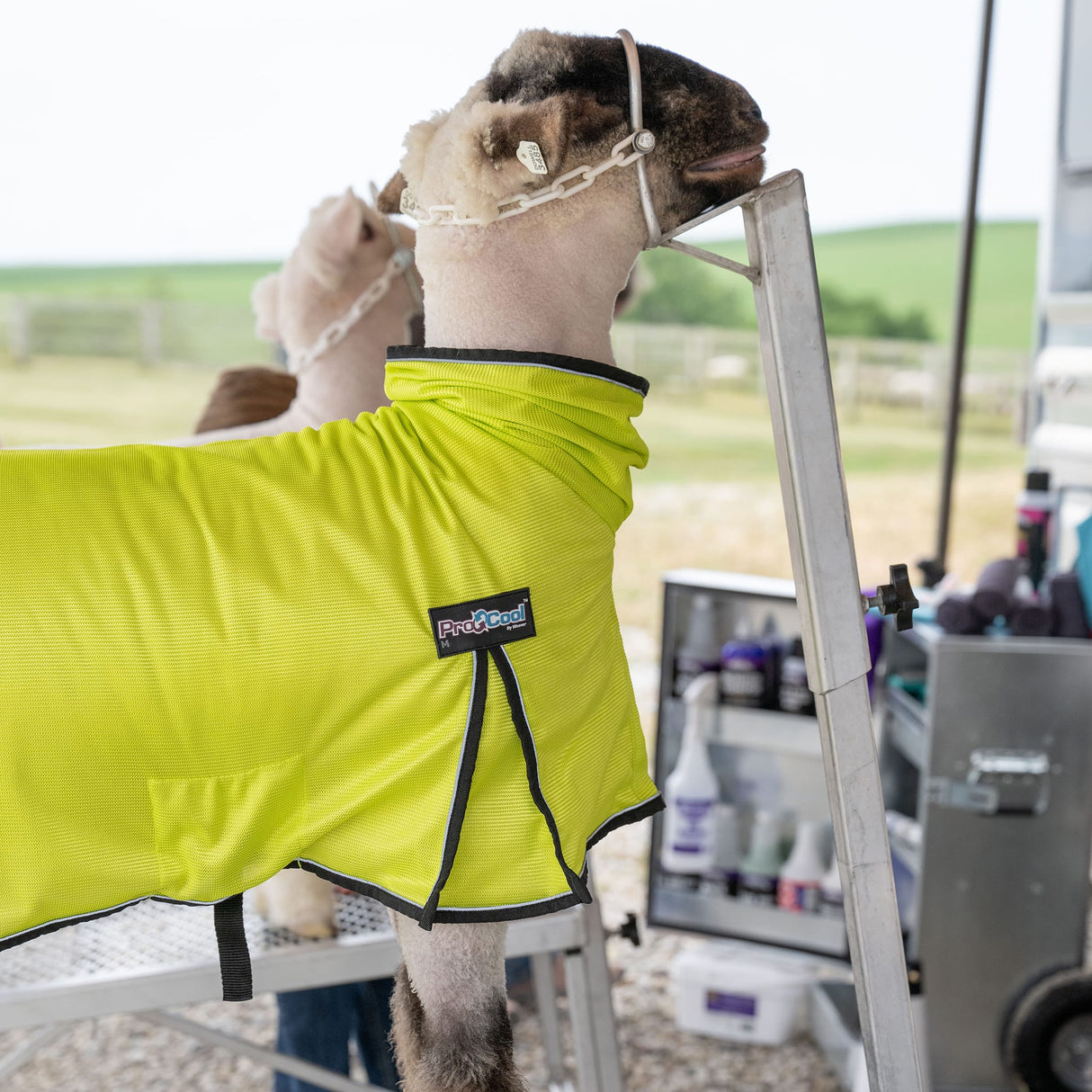 ProCool™ Sheep Blanket with Reflective Piping, Mesh Butt