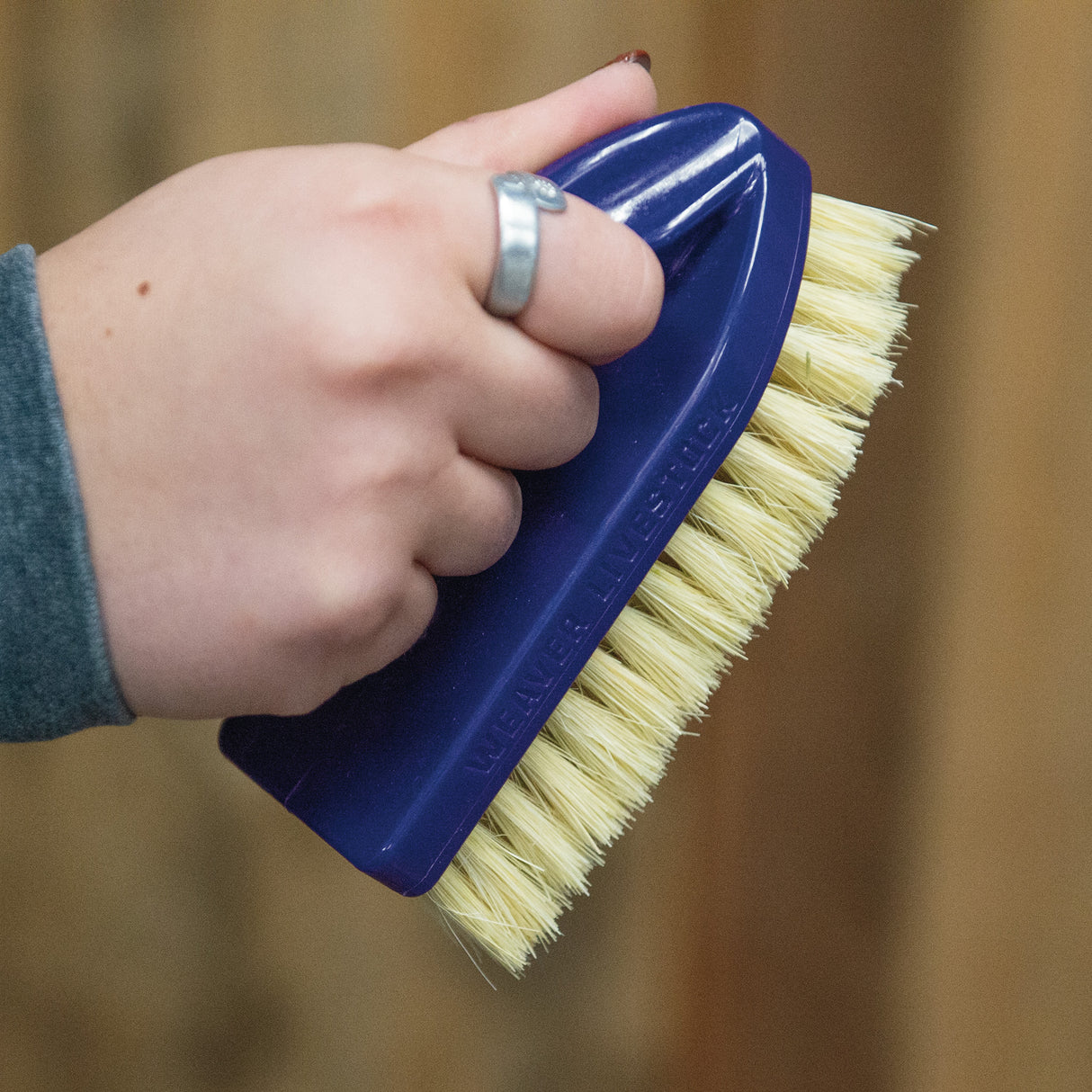 Plastic Tampico Pig Brush with Handle