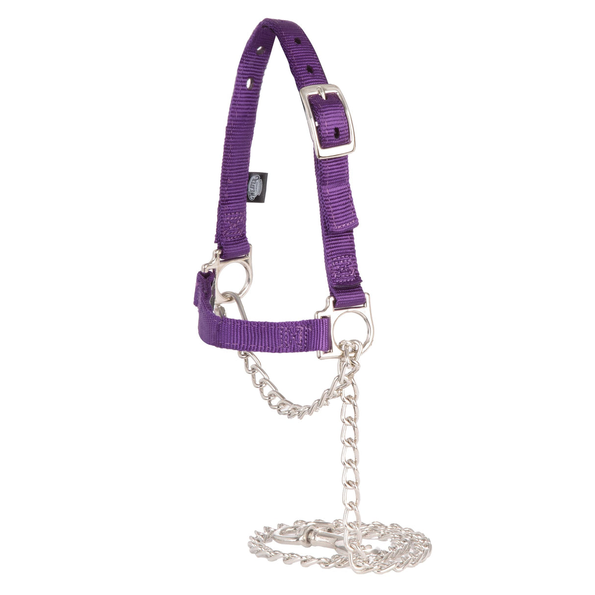 Nylon Adjustable Sheep Halter with Chain Lead