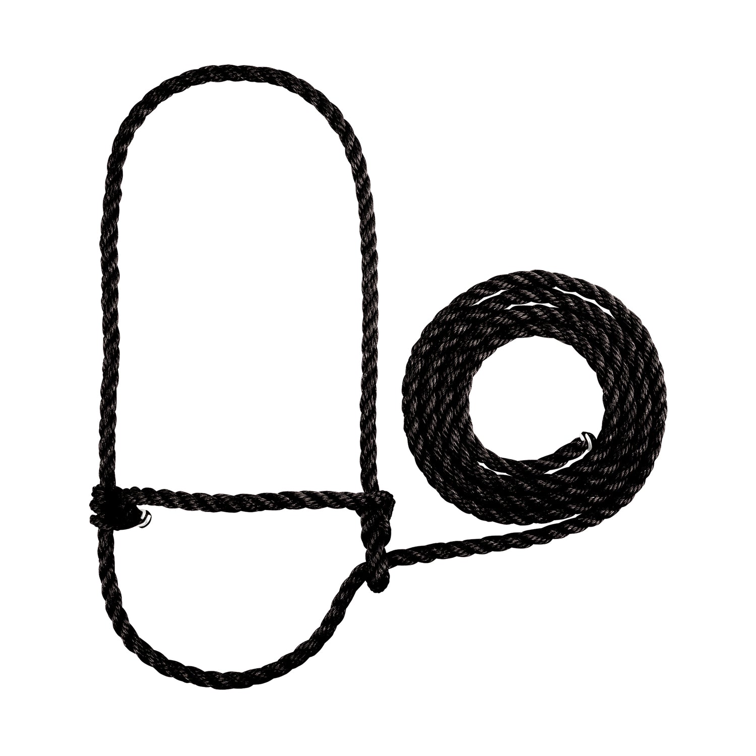 Rope Halter, Calf