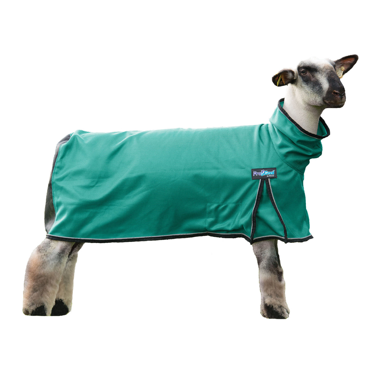 ProCool™ Sheep Blanket with Reflective Piping, Mesh Butt