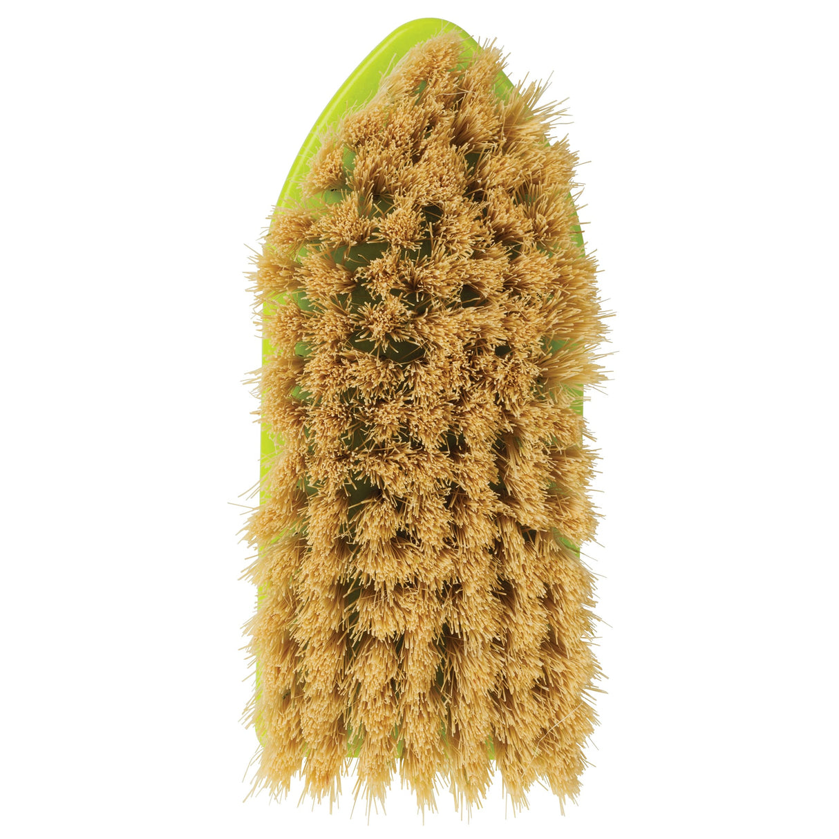 Plastic Tampico Pig Brush with Handle