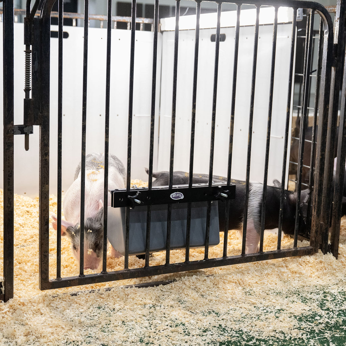 Pen Partition, 36"x 48"