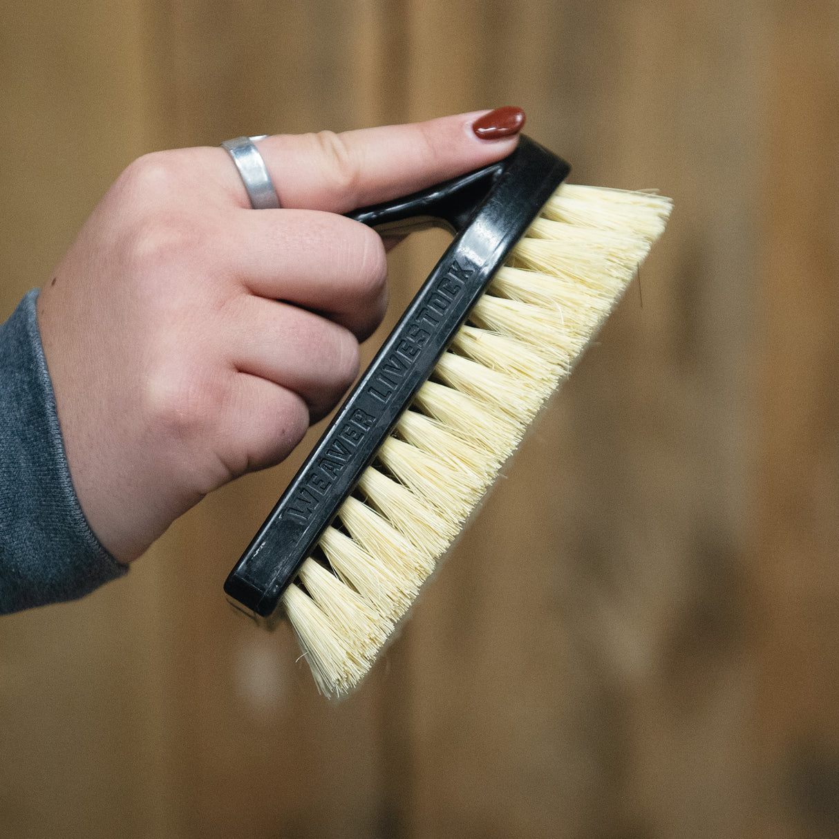 Plastic Tampico Pig Brush with Handle