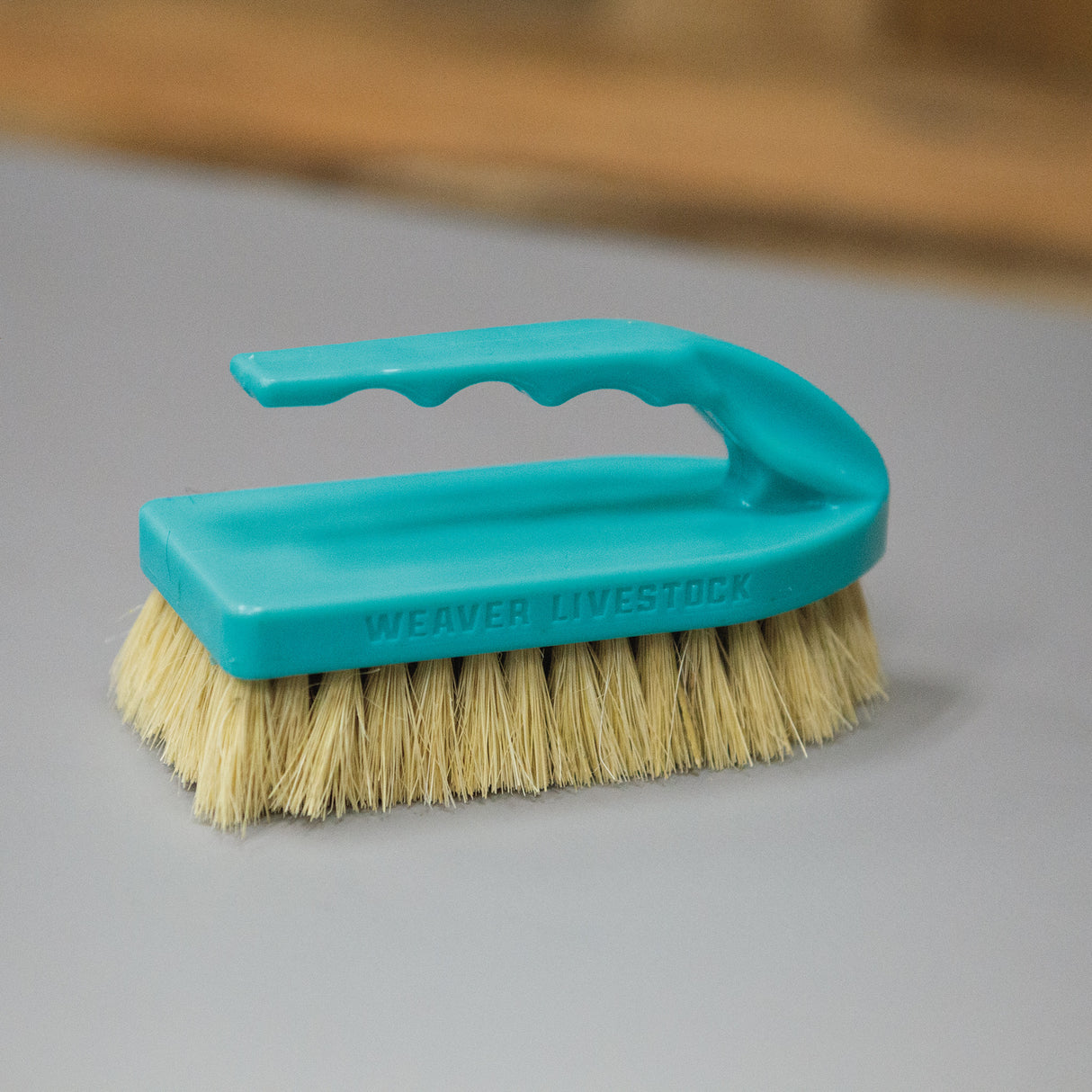 Plastic Tampico Pig Brush with Handle