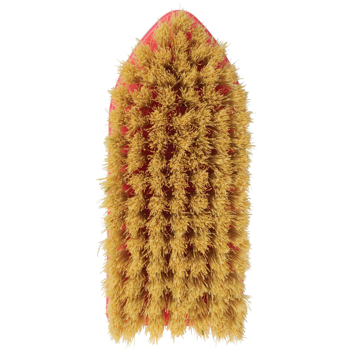 Plastic Tampico Pig Brush with Handle