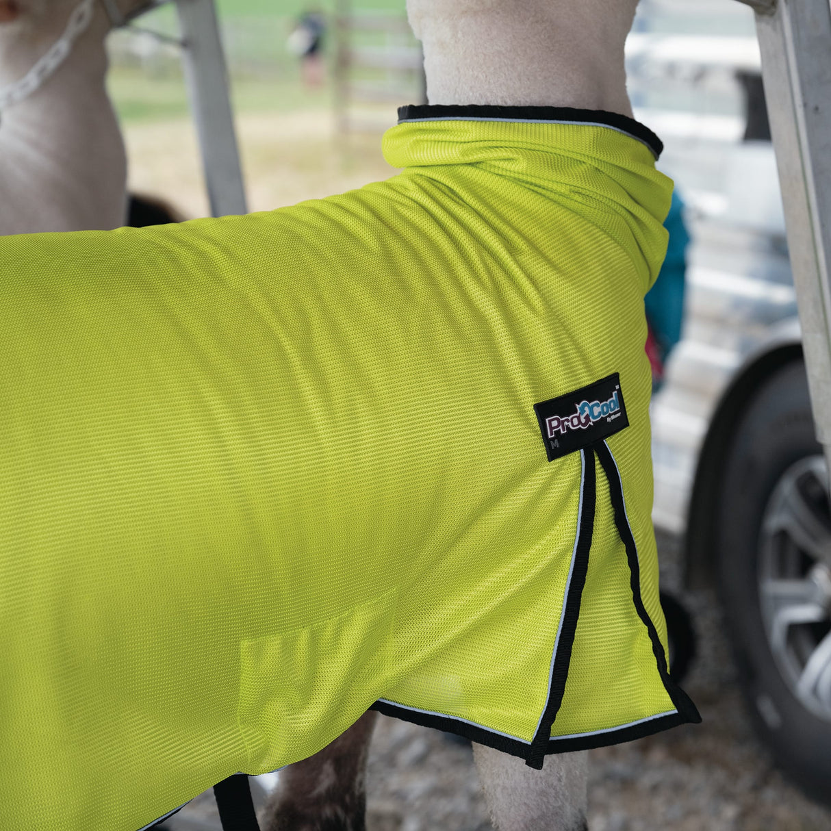 ProCool™ Sheep Blanket with Reflective Piping, Mesh Butt