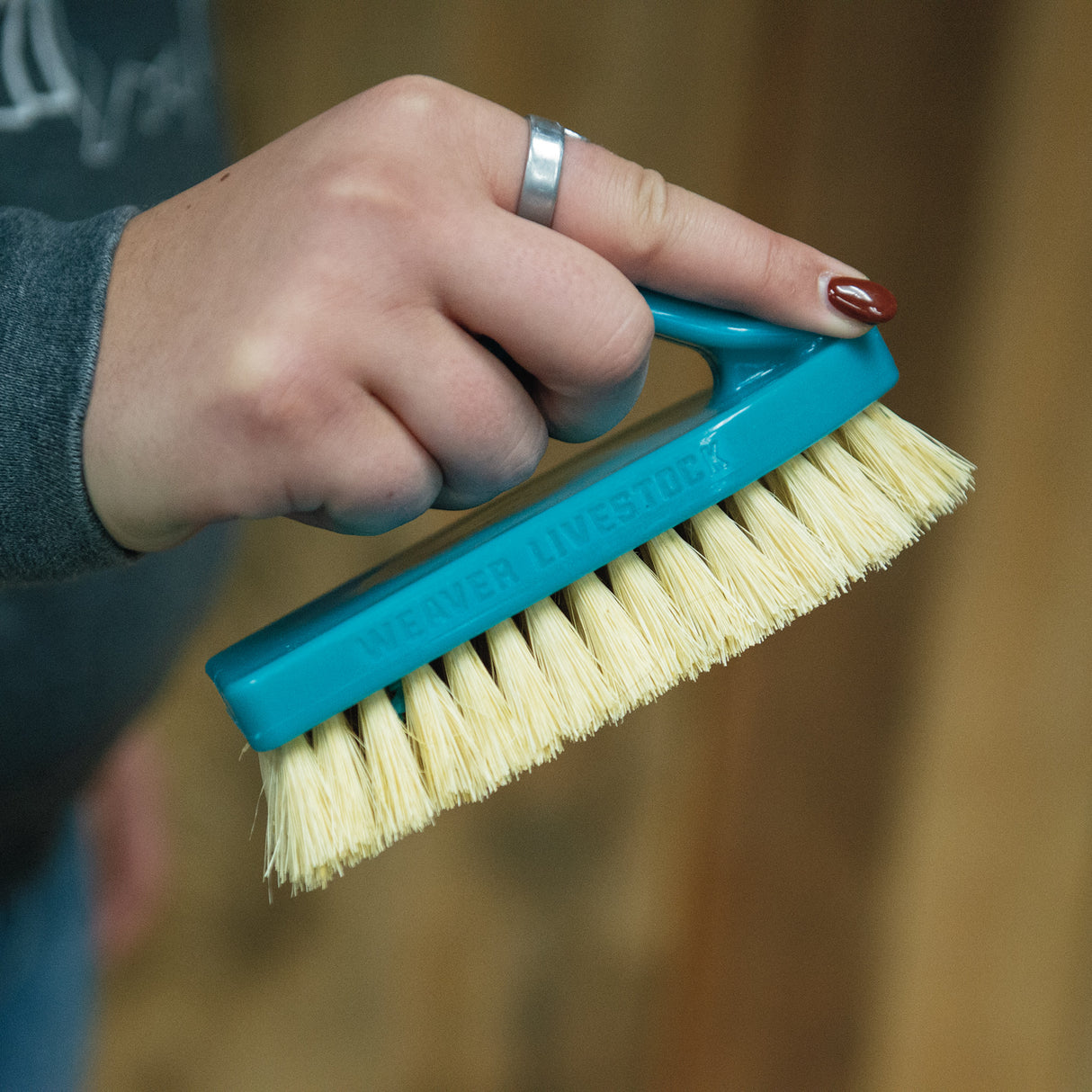 Plastic Tampico Pig Brush with Handle
