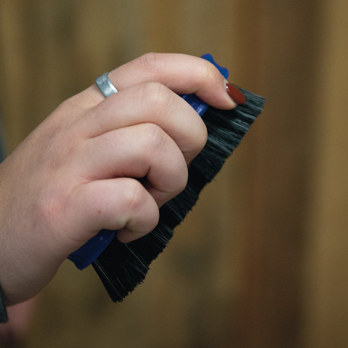 Pig Face Brush, Plastic Handle