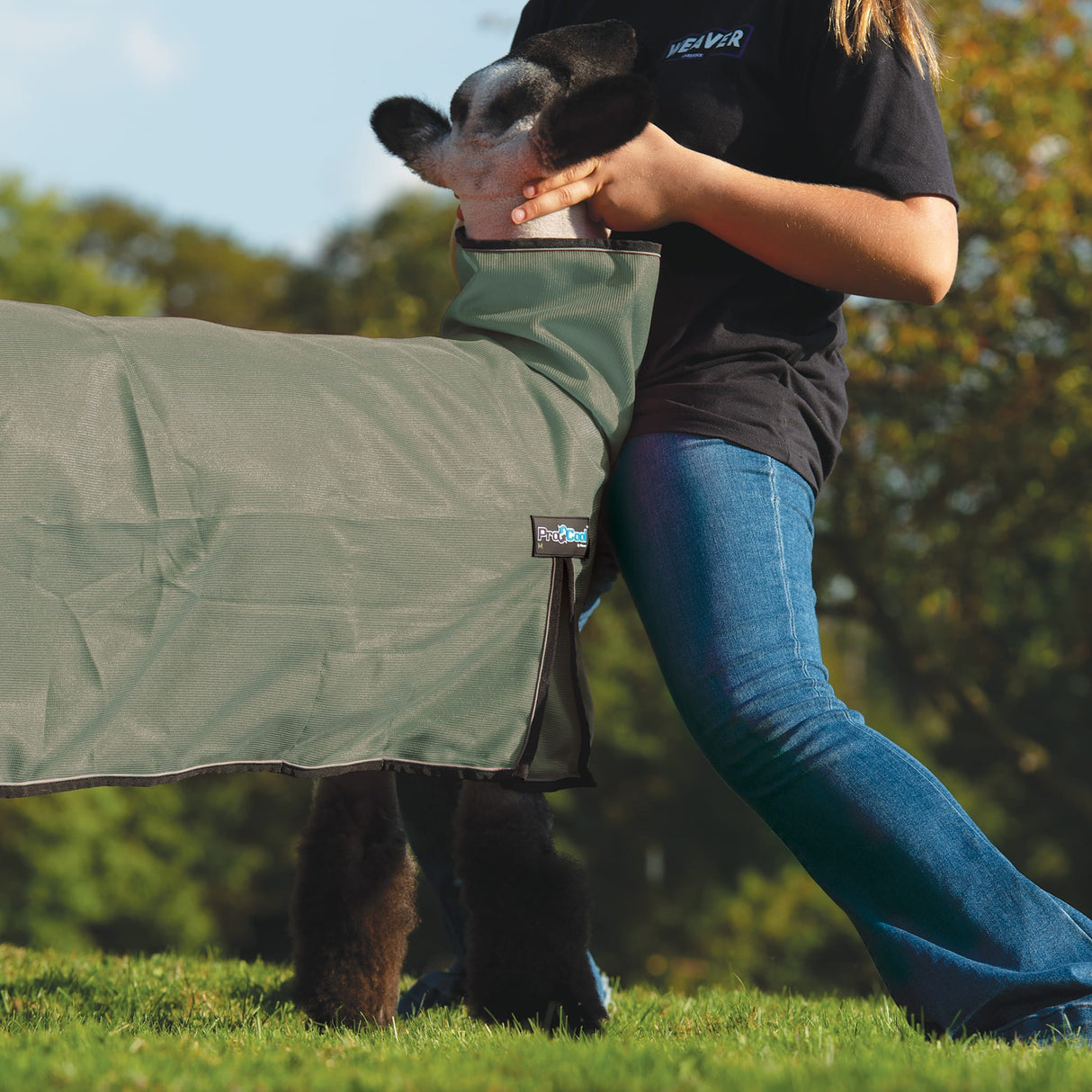ProCool™ Sheep Blanket with Reflective Piping, Mesh Butt