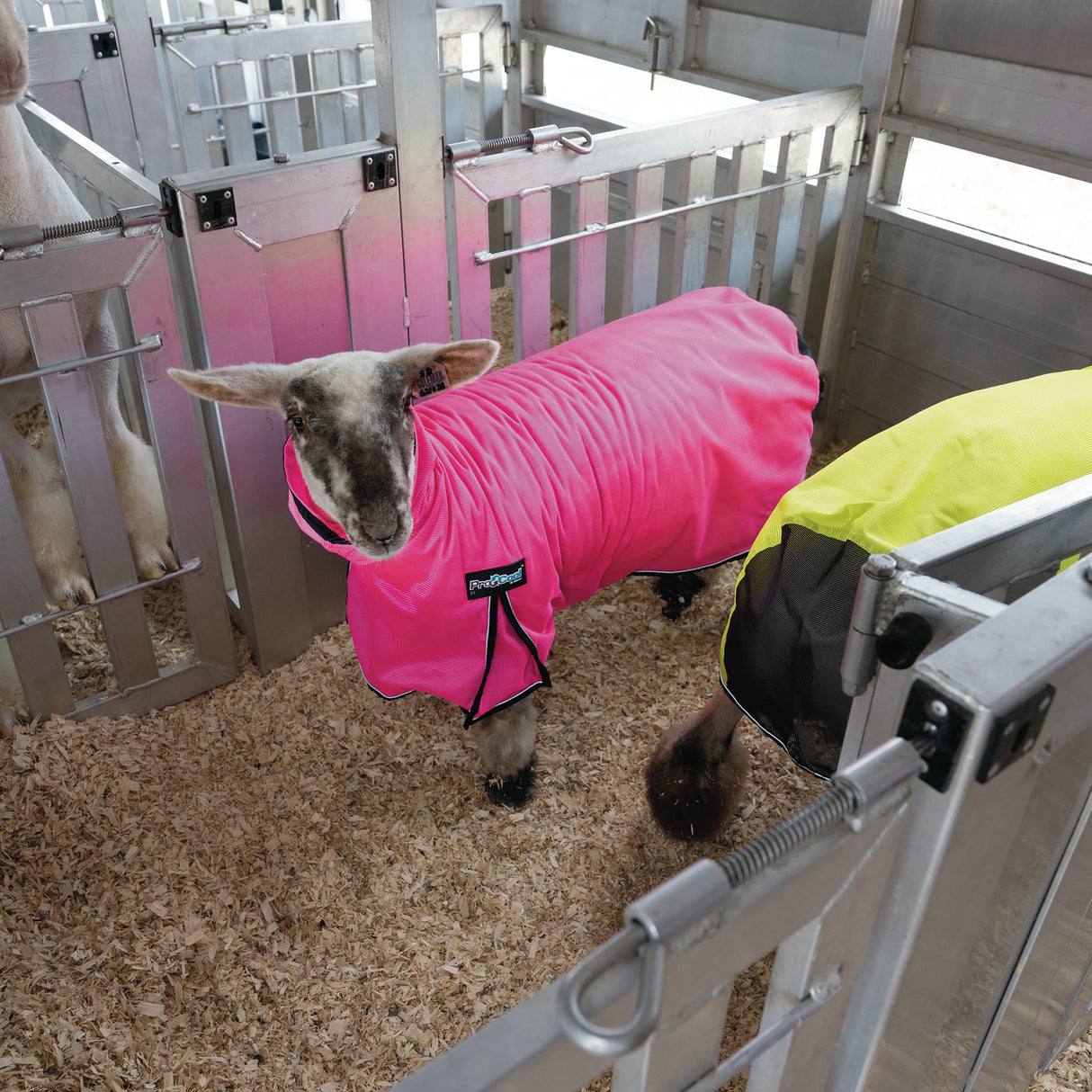 ProCool™ Sheep Blanket with Reflective Piping, Mesh Butt
