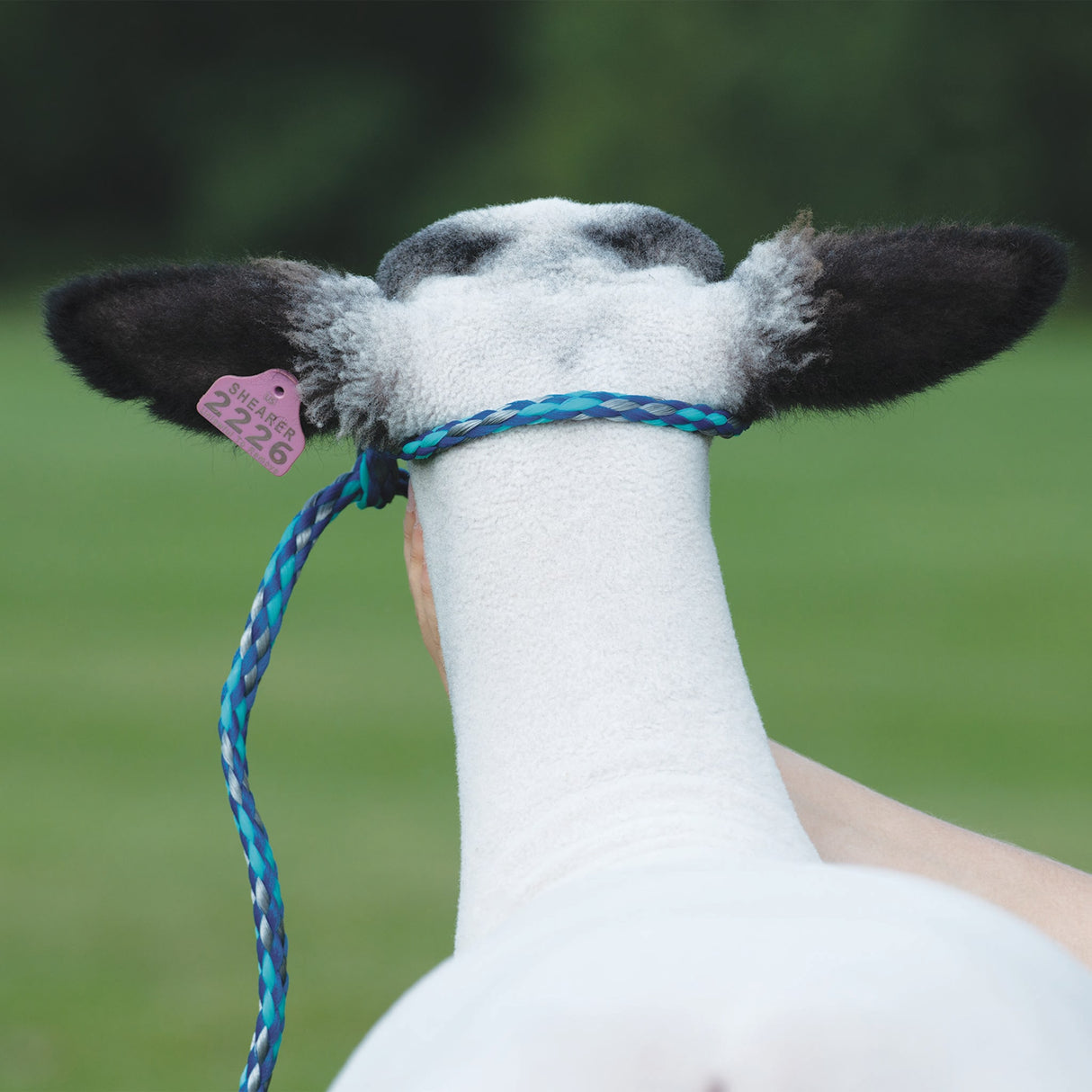 Poly Rope Halter