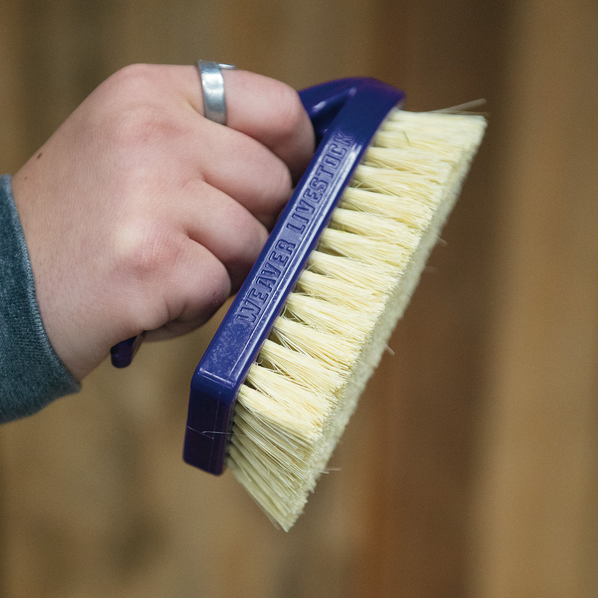 Plastic Tampico Pig Brush with Handle