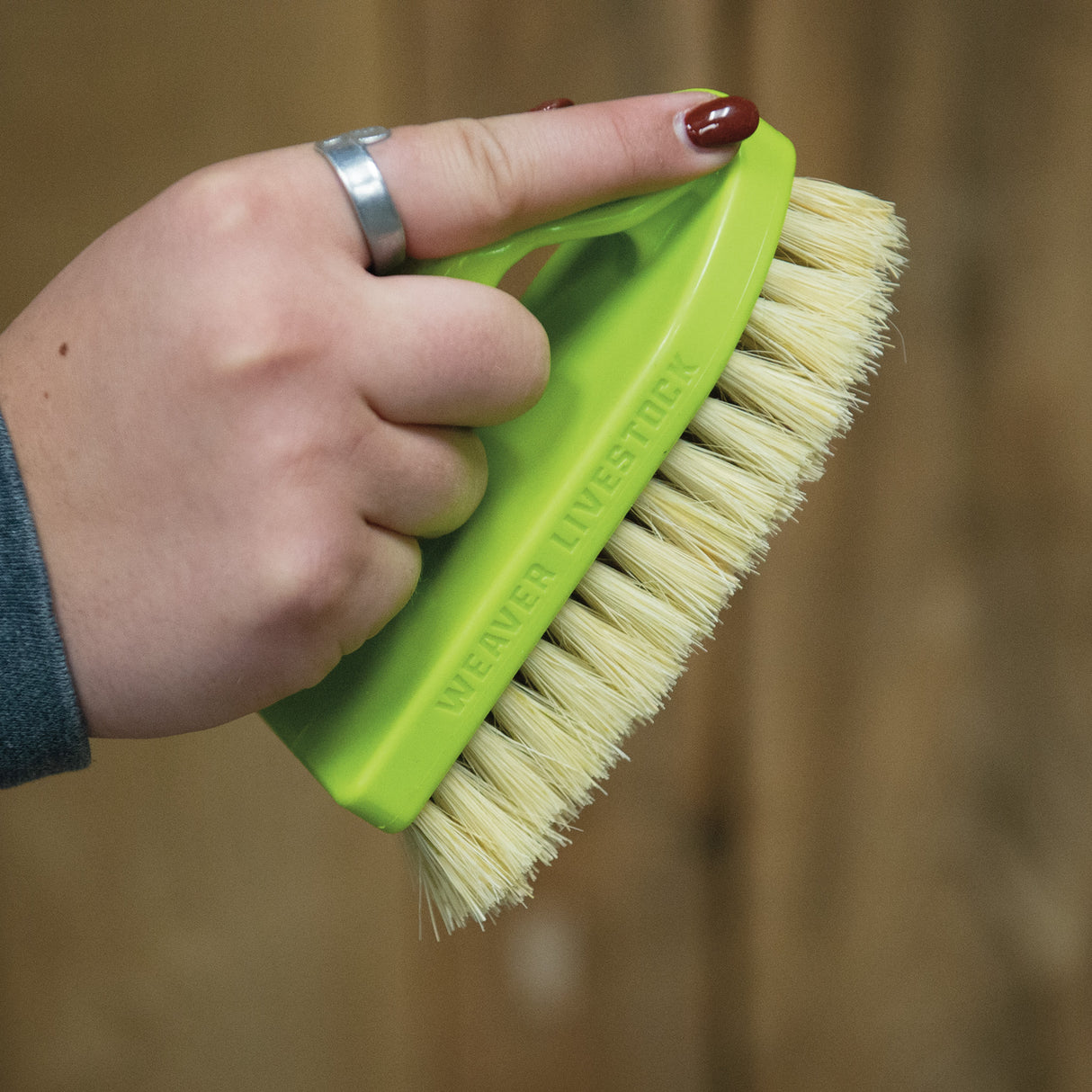 Plastic Tampico Pig Brush with Handle