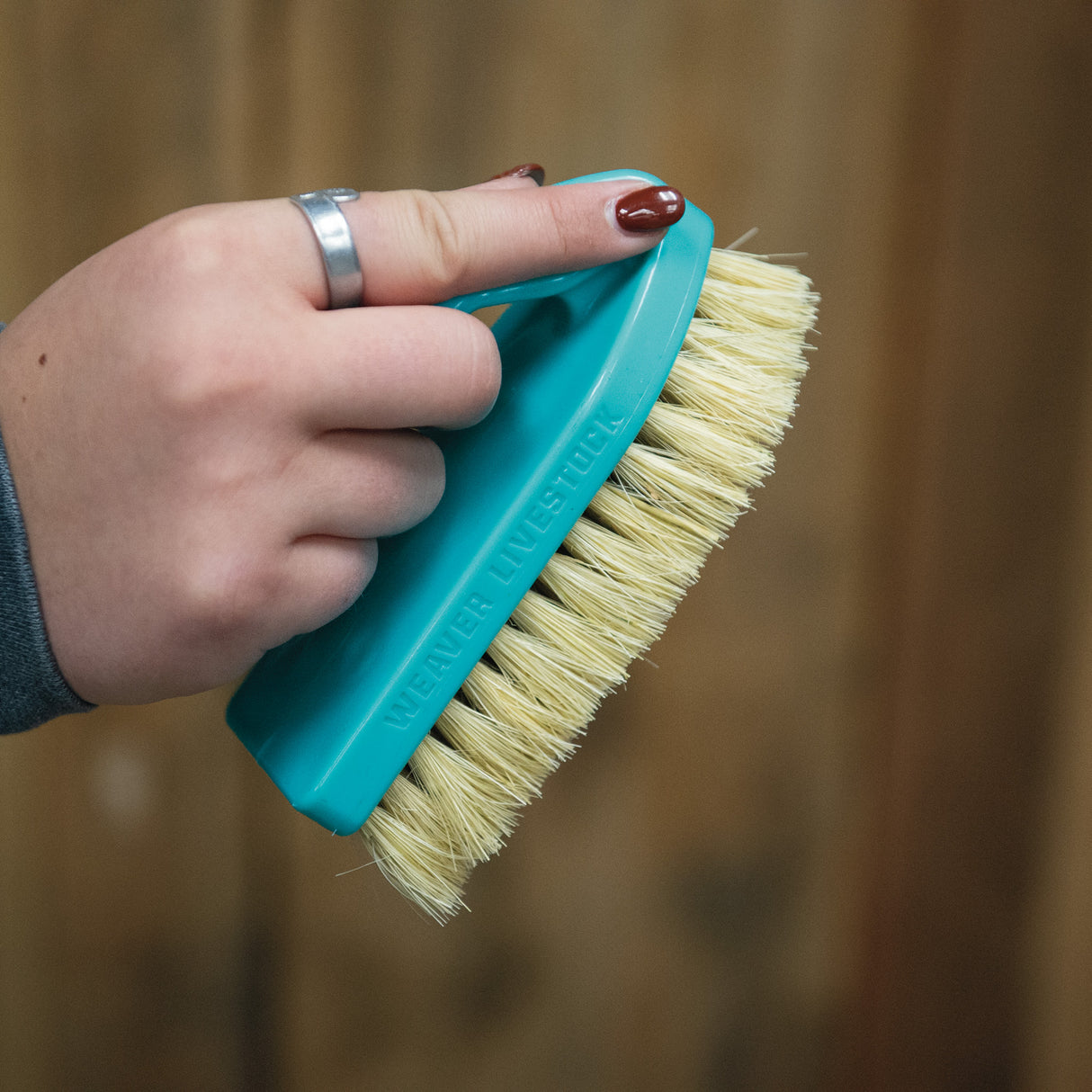 Plastic Tampico Pig Brush with Handle