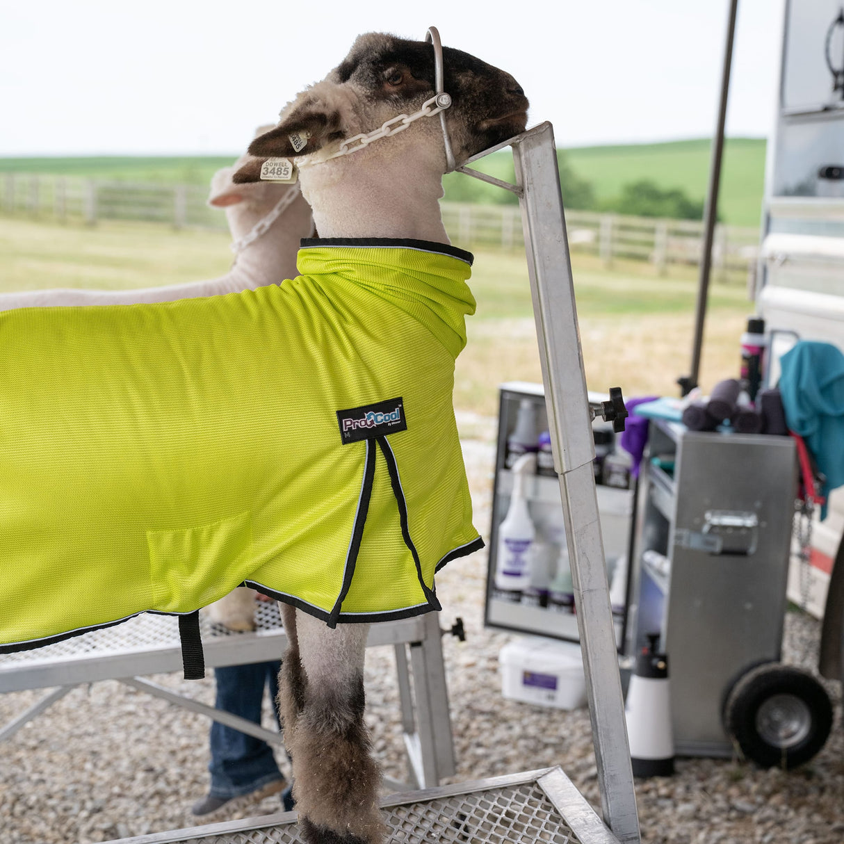 ProCool™ Sheep Blanket with Reflective Piping, Mesh Butt