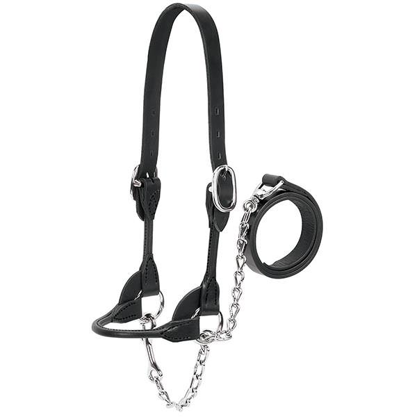 Dairy/Beef Rounded Show Halter, Large, Black