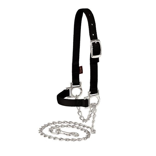 Nylon Adjustable Sheep Halter with Chain Lead, Black