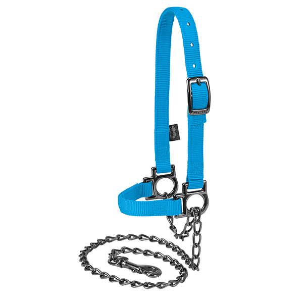 Nylon Adjustable Sheep Halter with Chain Lead, Hurricane Blue