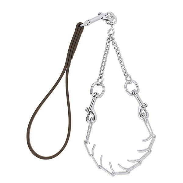 Pronged Chain Goat Collar and Lead Set
