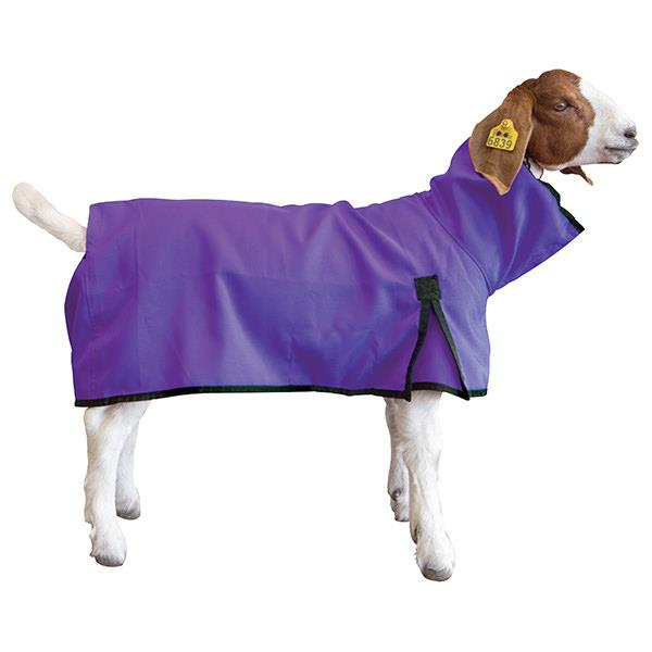 Goat Blanket, Large, Purple