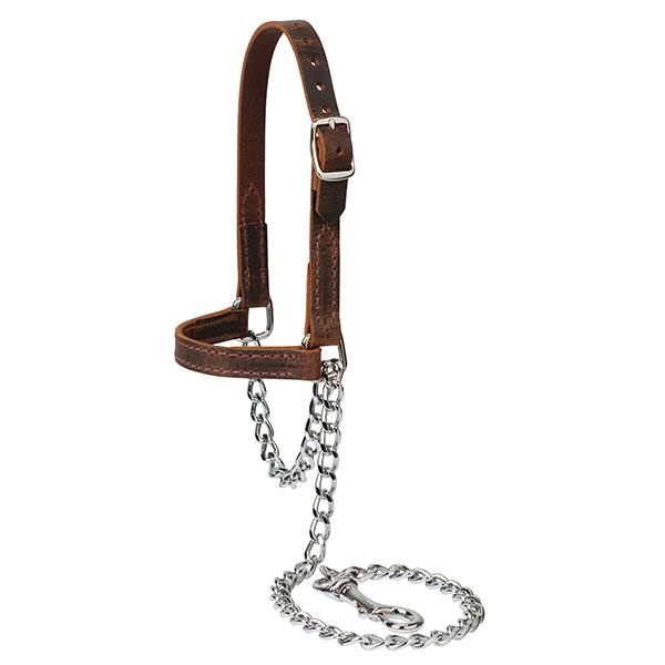 Water Buffalo Leather Goat Halter, Large, Assorted Colors