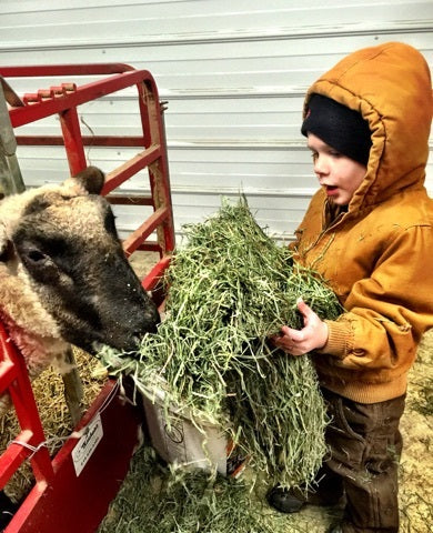 Yes, my kids are RAISED IN THE BARN!