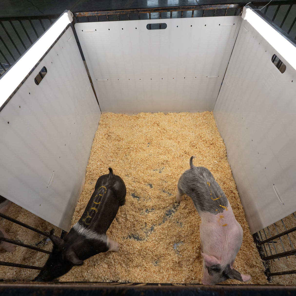 Pen Partition, 36"x 48"