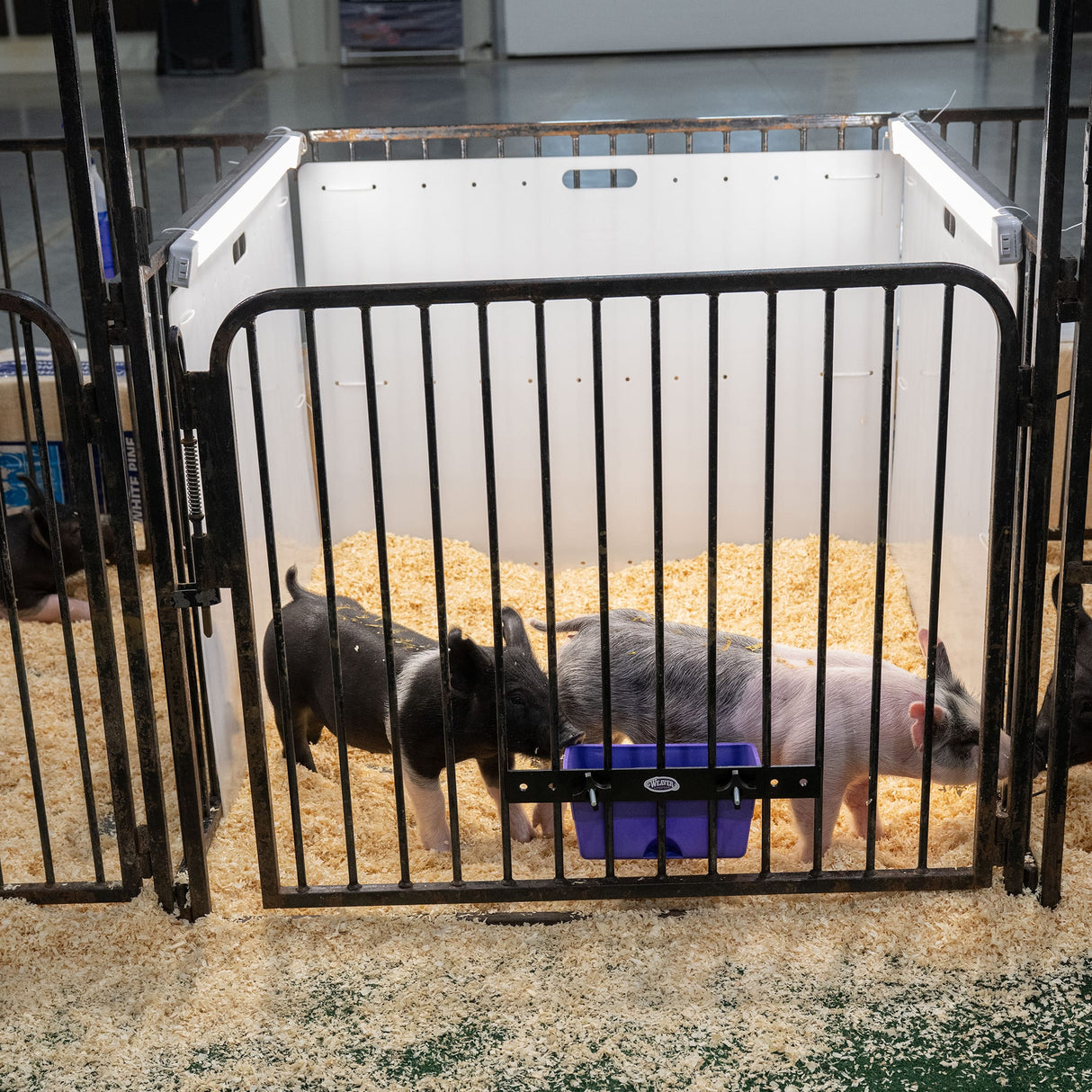 Pen Partition, 36"x 48"