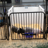 Pen Partition, 36"x 48"