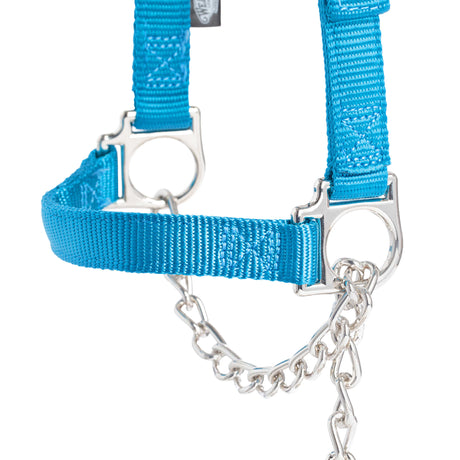 Nylon Adjustable Sheep Halter with Chain Lead