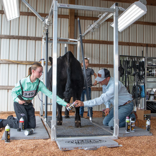 What is a Cattle Chute