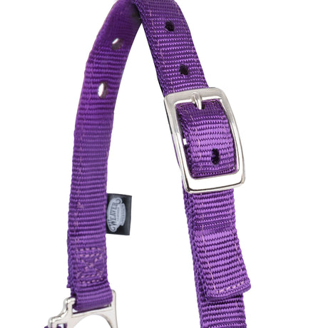 Nylon Adjustable Sheep Halter with Chain Lead