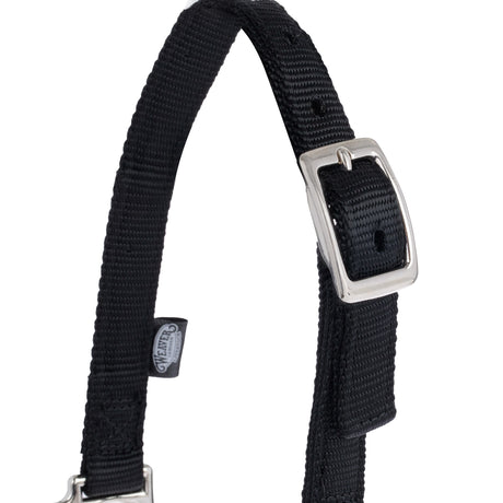 Nylon Adjustable Sheep Halter with Chain Lead