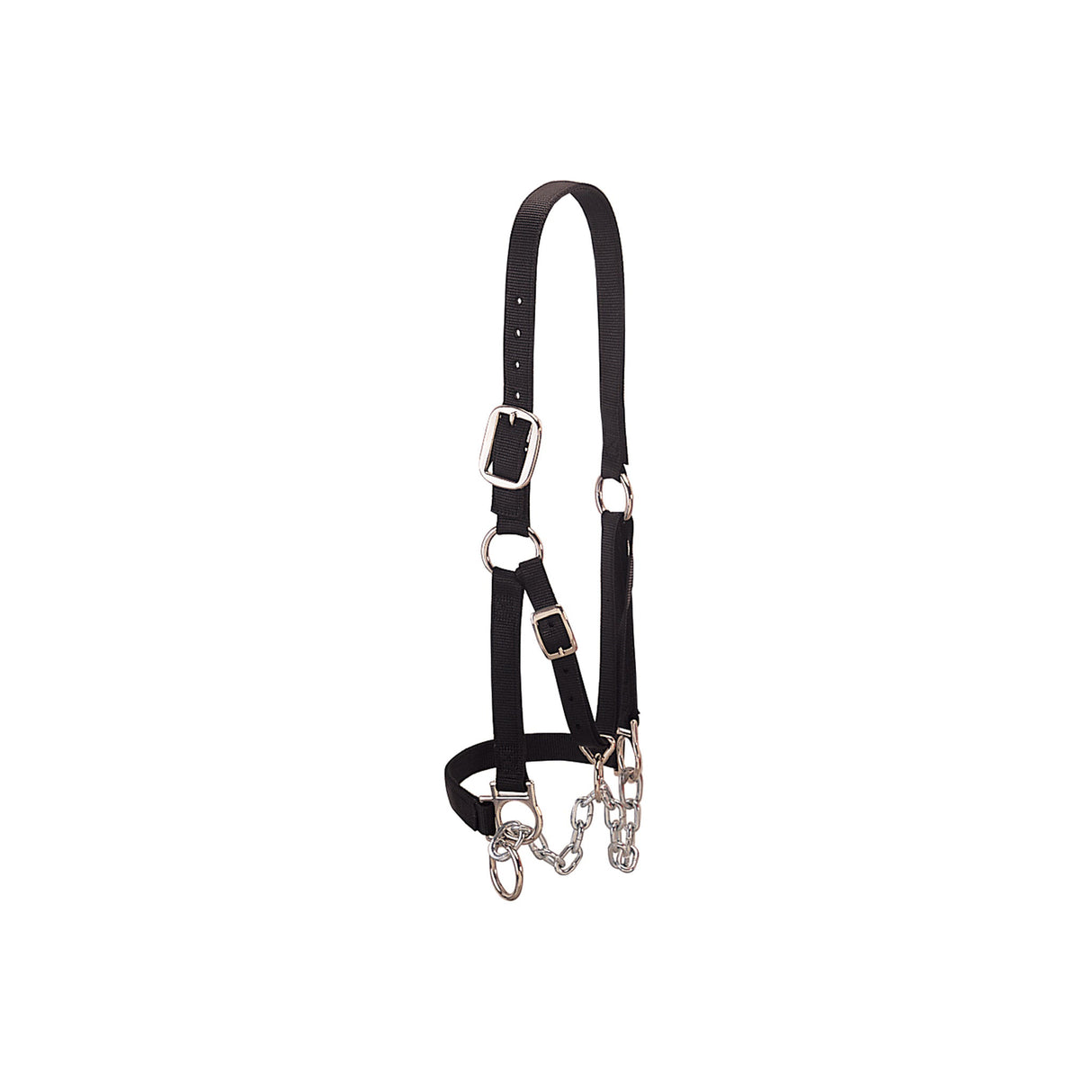 Heavy-Duty Restraint Halter