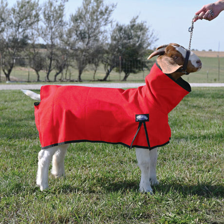 Nylon Goat Blanket