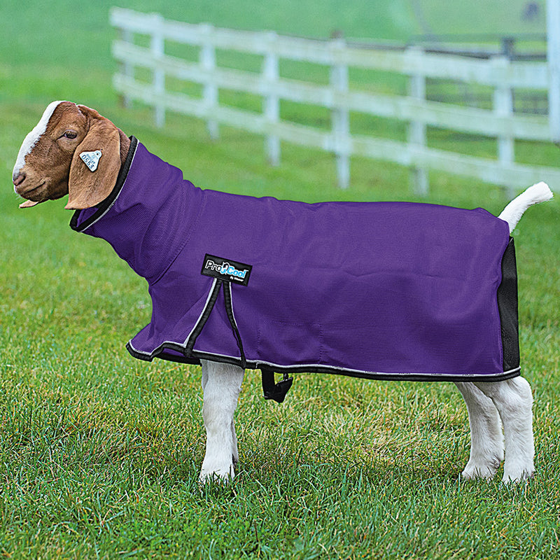 Weaver Show Goat Blankets and Tubes - Weaver Livestock