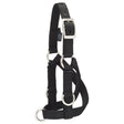 Sheep & Goat Training Halter