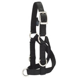 Sheep & Goat Training Halter