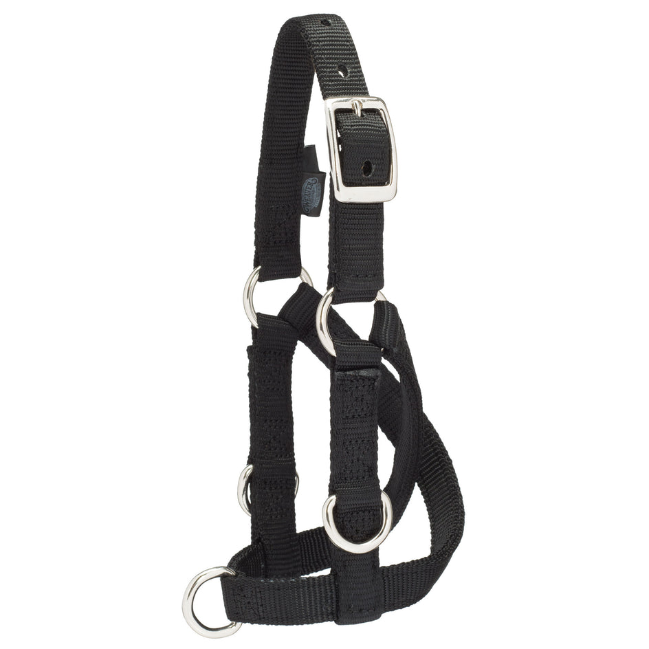 Goat Training Halters - Durable Adjustable Fit for Training – Weaver ...